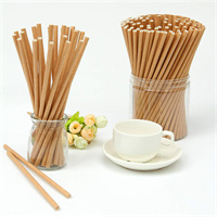 Kraft Paper Straw from DisposablesInc.com. The best import service in China. Import your disposable items and products from us.